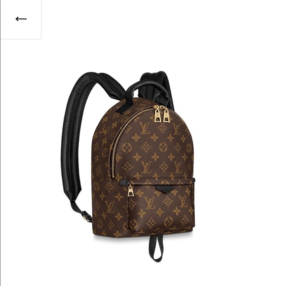 Louis Vuitton Handbags - 🔥Brand New LV Palm Springs PM🔥